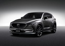 Amortiguador Delantero Izq B6. Mazda CX-5
