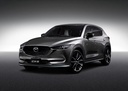 Amortiguador Delantero  Derecho B6. Mazda CX-5 (KF)